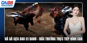 Đá Gà Cựa Dao C1 Da88 – Đấu Trường Trực Tiếp Đỉnh Cao