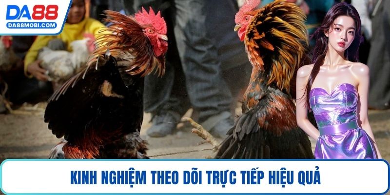 Kinh nghiệm theo dõi trực tiếp hiệu quả