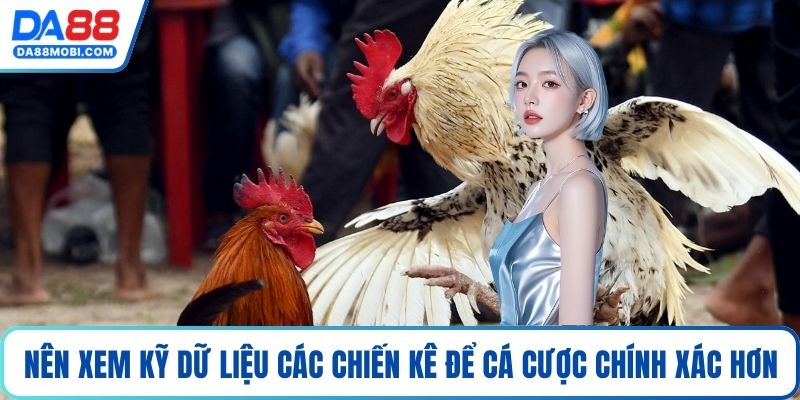 Nên xem kỹ dữ liệu các chiến kê để cá cược chính xác hơn