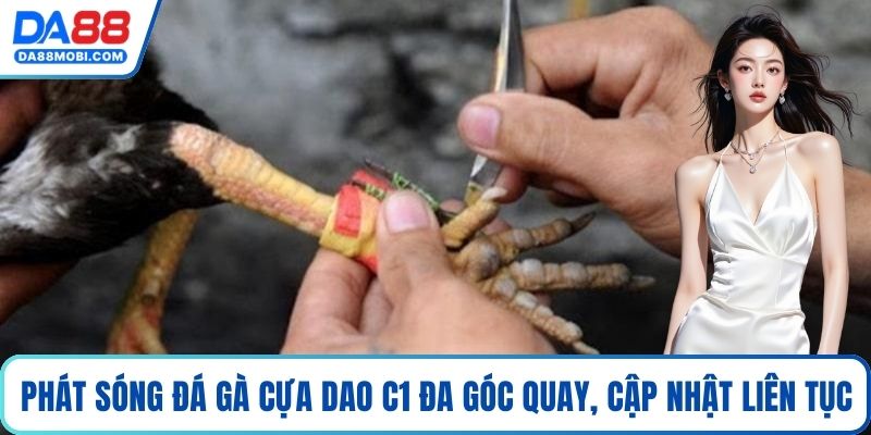 Phát sóng đá gà cựa dao C1 đa góc quay, cập nhật liên tục