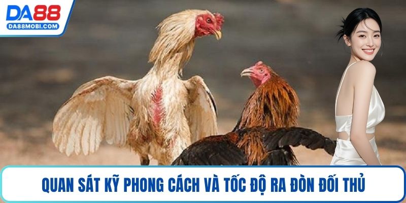 Quan sát kỹ phong cách và tốc độ ra đòn đối thủ