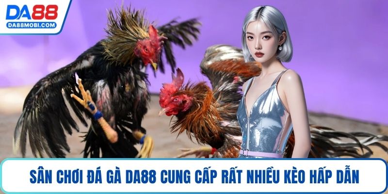 Sân chơi đá gà Da88 cung cấp rất nhiều kèo hấp dẫn