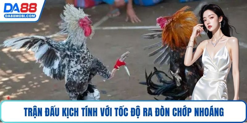 Trận đấu kịch tính với tốc độ ra đòn chớp nhoáng